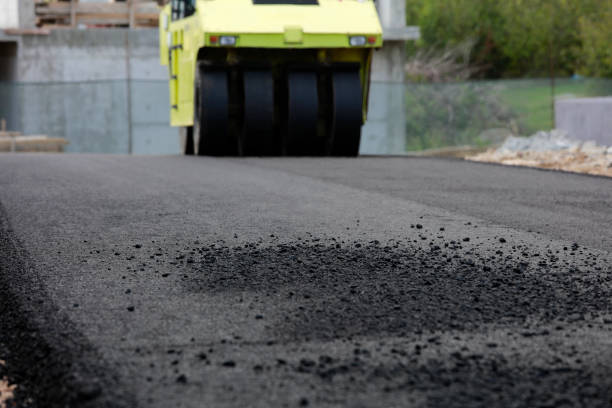 Best Driveway Pavers for Homes  in Alachua, FL