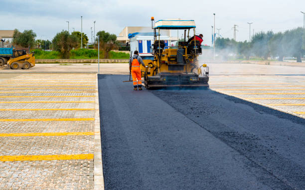 Best Custom Driveway Pavers  in Alachua, FL