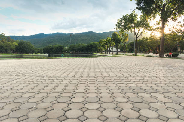 Best Driveway Paving Contractor  in Alachua, FL