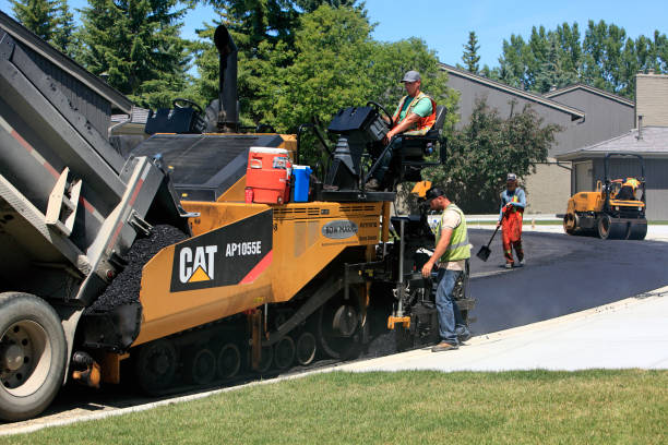 Best Professional Driveway Pavers  in Alachua, FL